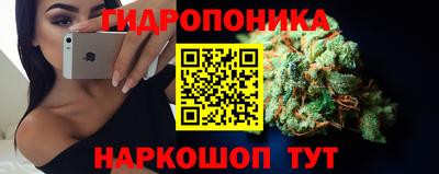 mdpv Лесосибирск