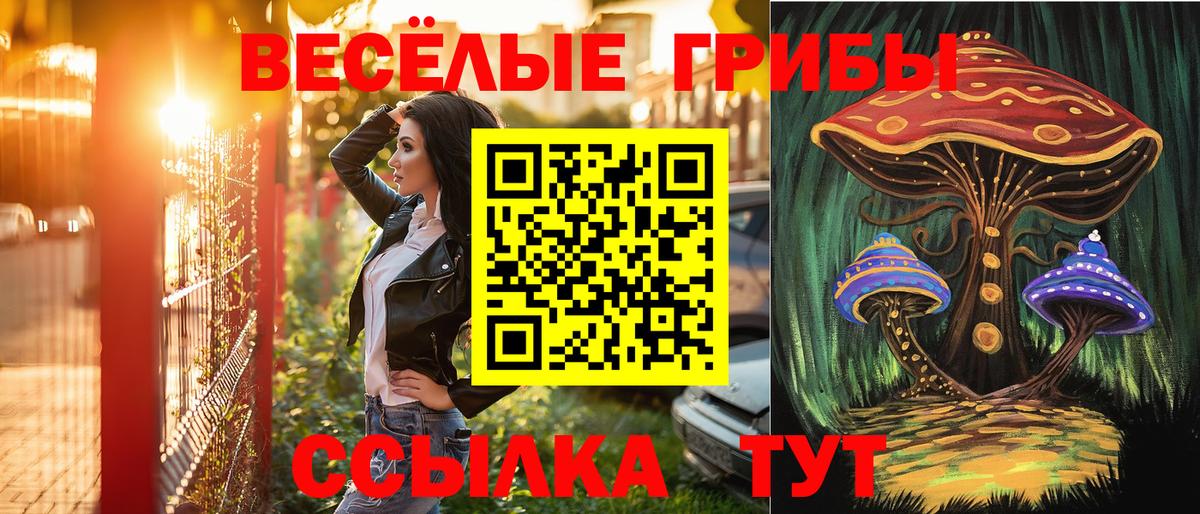 Галлюциногенные грибы мухоморы Ишим